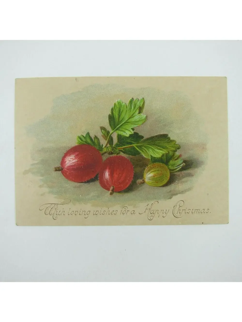 Victorian Christmas Card Red & Green Gooseberry Fruit Bunch Leaves Antique RARE